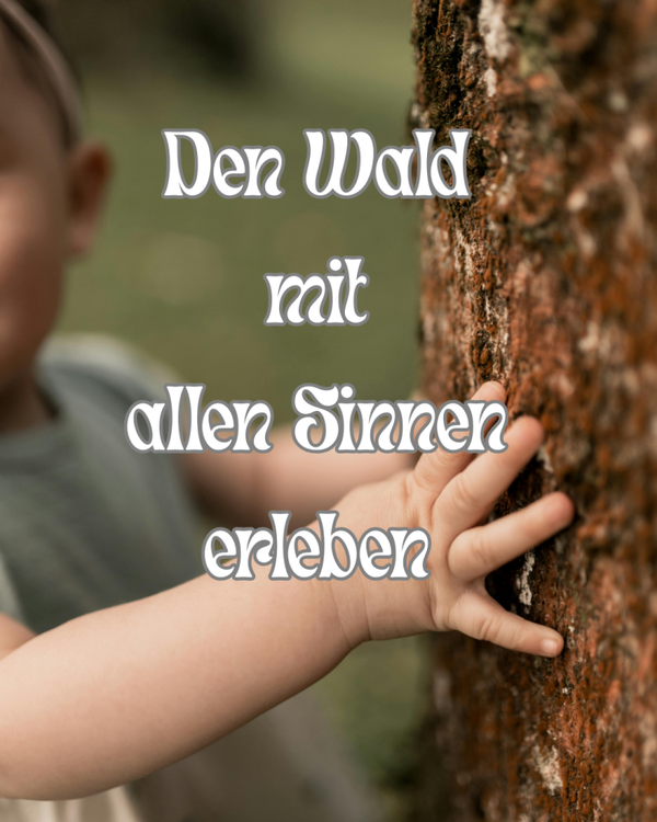 🌳Sinfonie der Sinne - Sonntag 29. März 2026