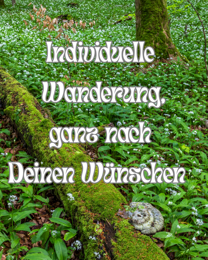 🌳Individuelle Führung im Naturpark Eichsfeld-Hainich-Werratal