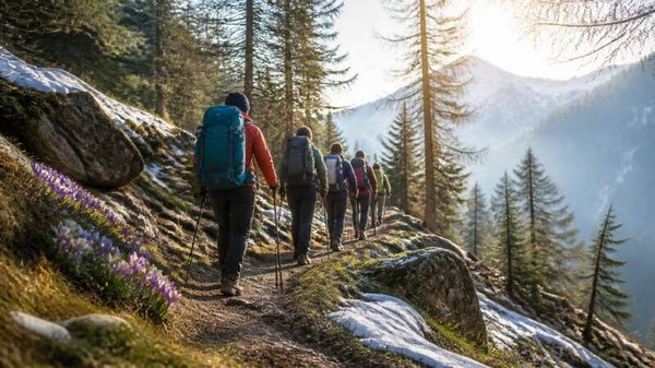 🌿 Individuelle Kräuterwanderung – ganz nach Ihren Wünschen
