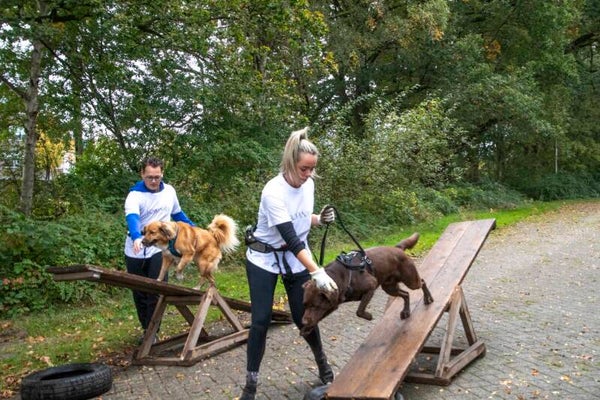 Groepsrun 5 deelnemers + max 5 honden