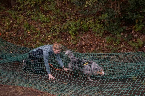 Ouder & 2 kinderen + 1 hond