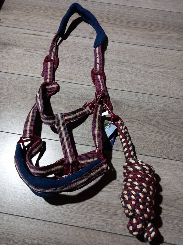 Harrys horse halsterset