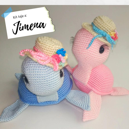Kit | Tortuga Jimena