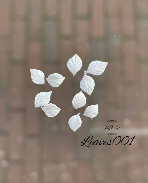3d acryl handgemaakt blaadjes wit Leaves001