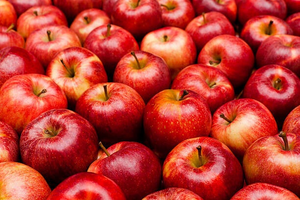 Apple Harvest
