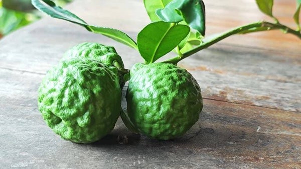 Bergamot Element