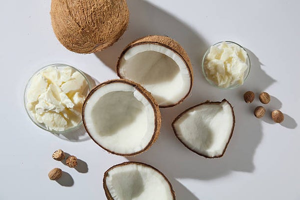 Coconut Shea Sanctuary 6oz body butter