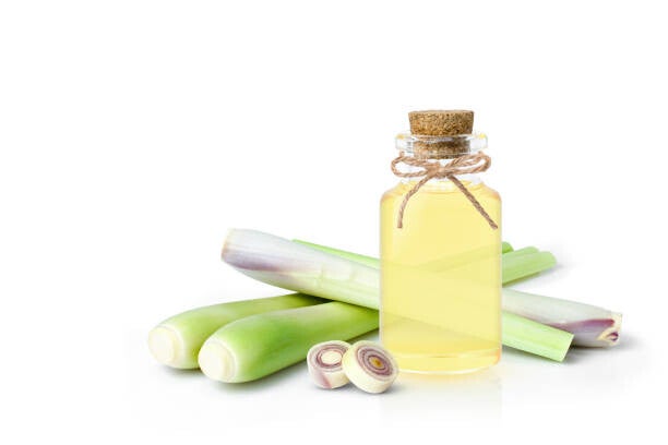 Lemongrass