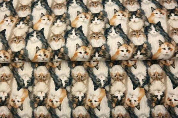 Legging  of flare cats