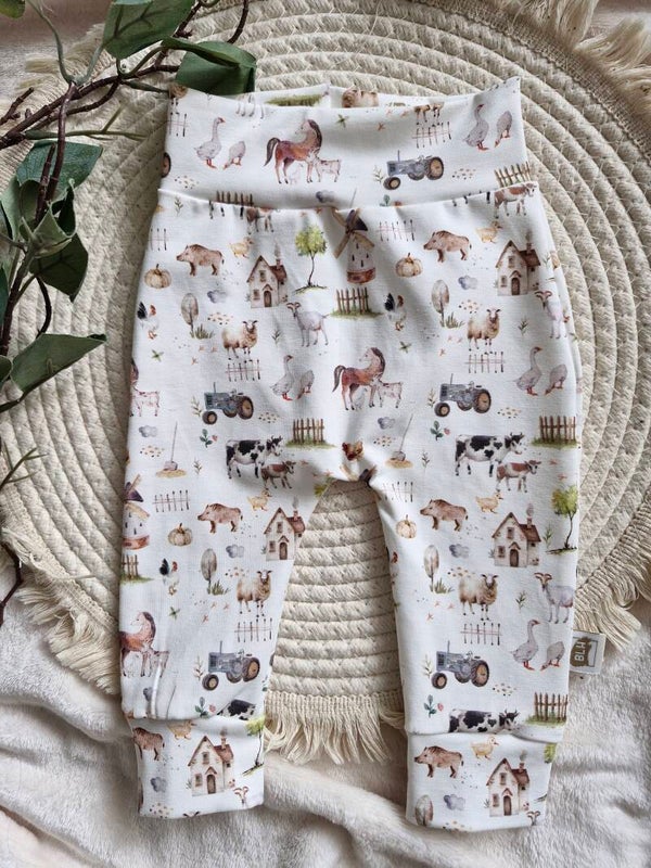 Broekje 62 boerderij