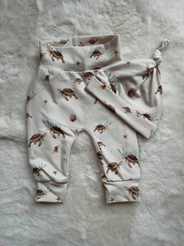 Setje 56 schildpadjes