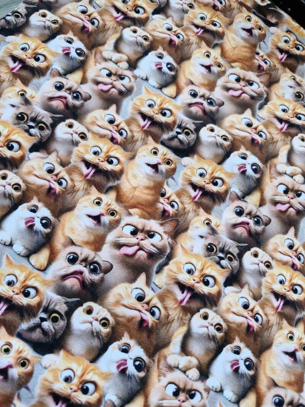 Coupon funny cat