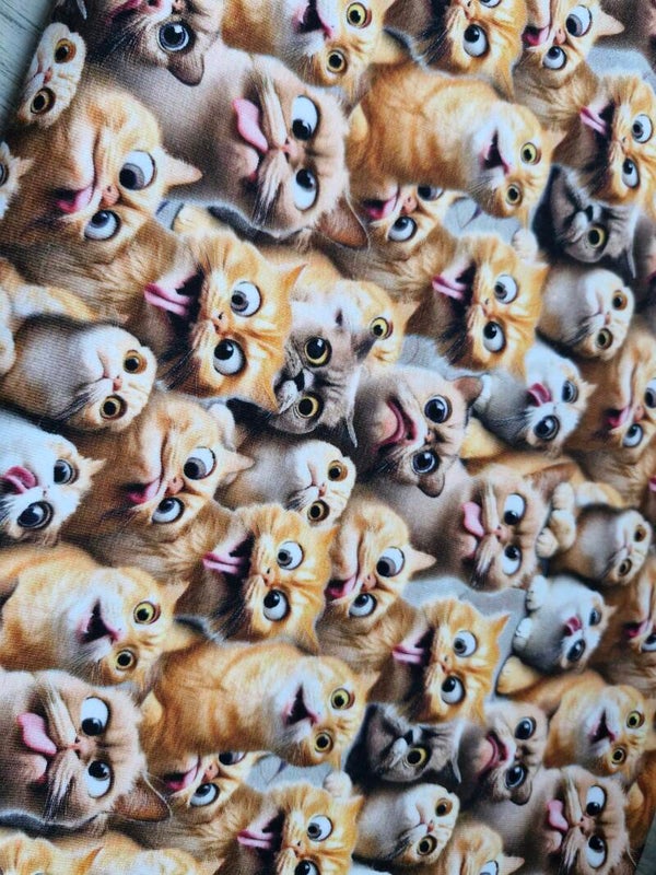 Funny cats coupon