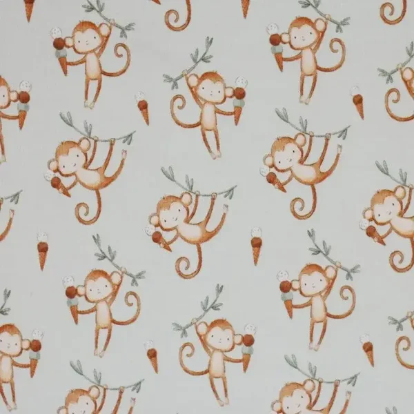shirtje aapjes