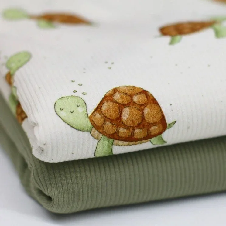 Shortie of playshort turtle