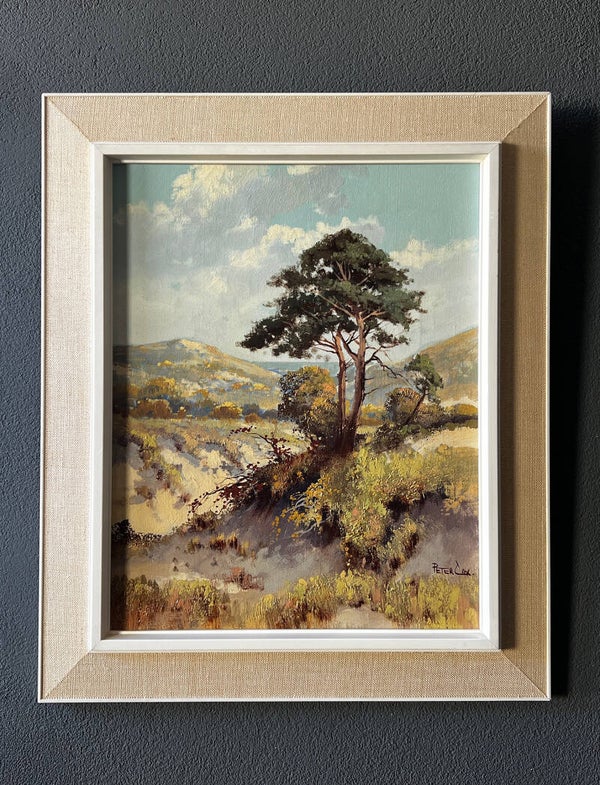 Peter Cox schilderij (jaren ’60)