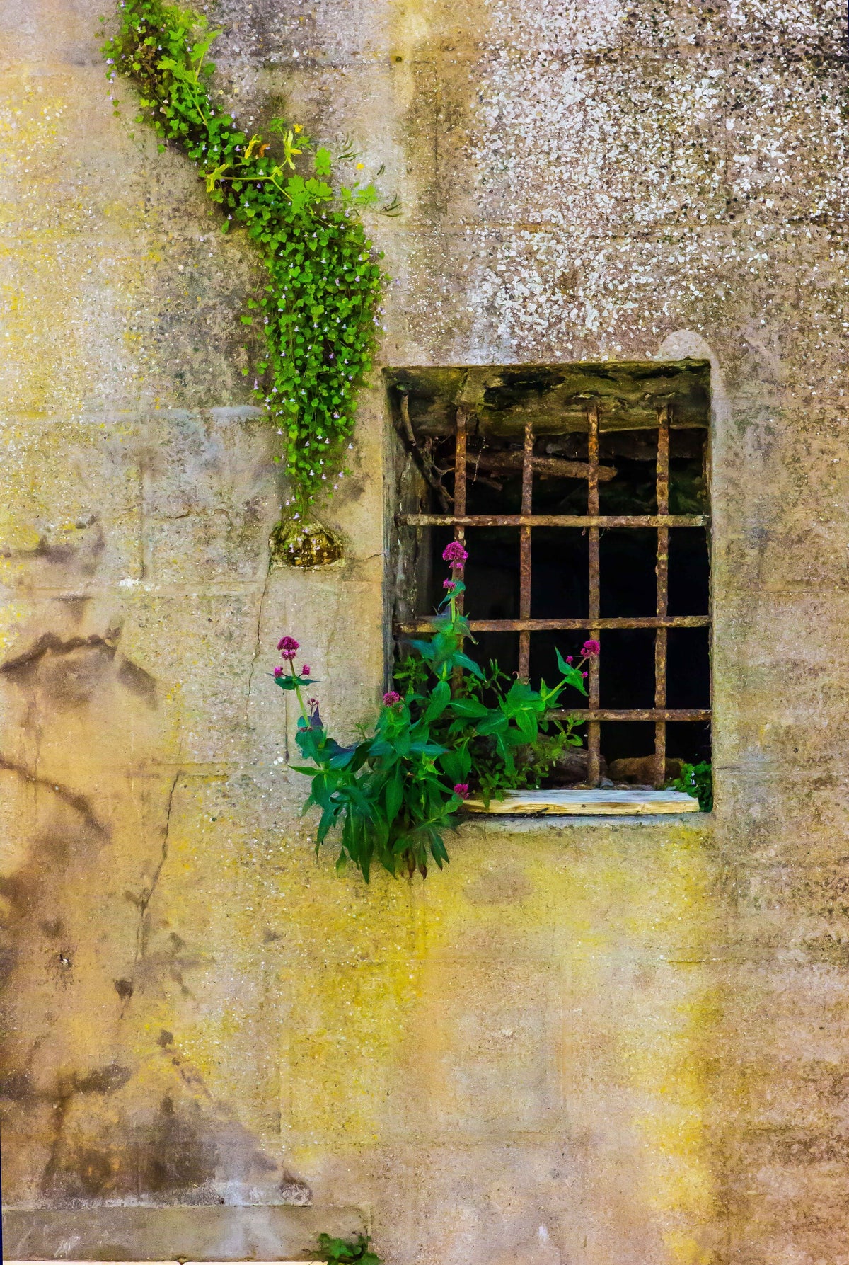 Luke Dodd Photography and Fine Art Prints
