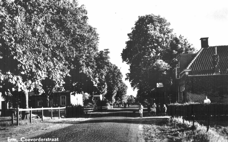 1951