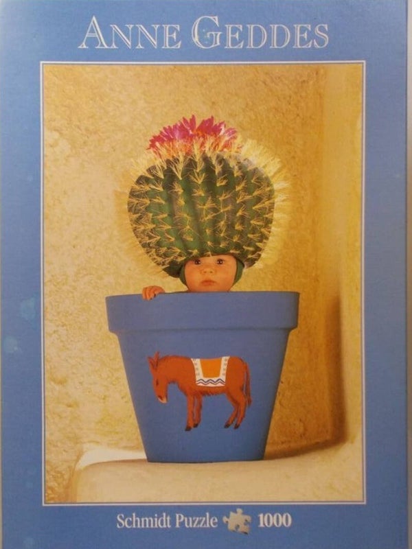 Schmidt Anne Geddes Kaktus - 500