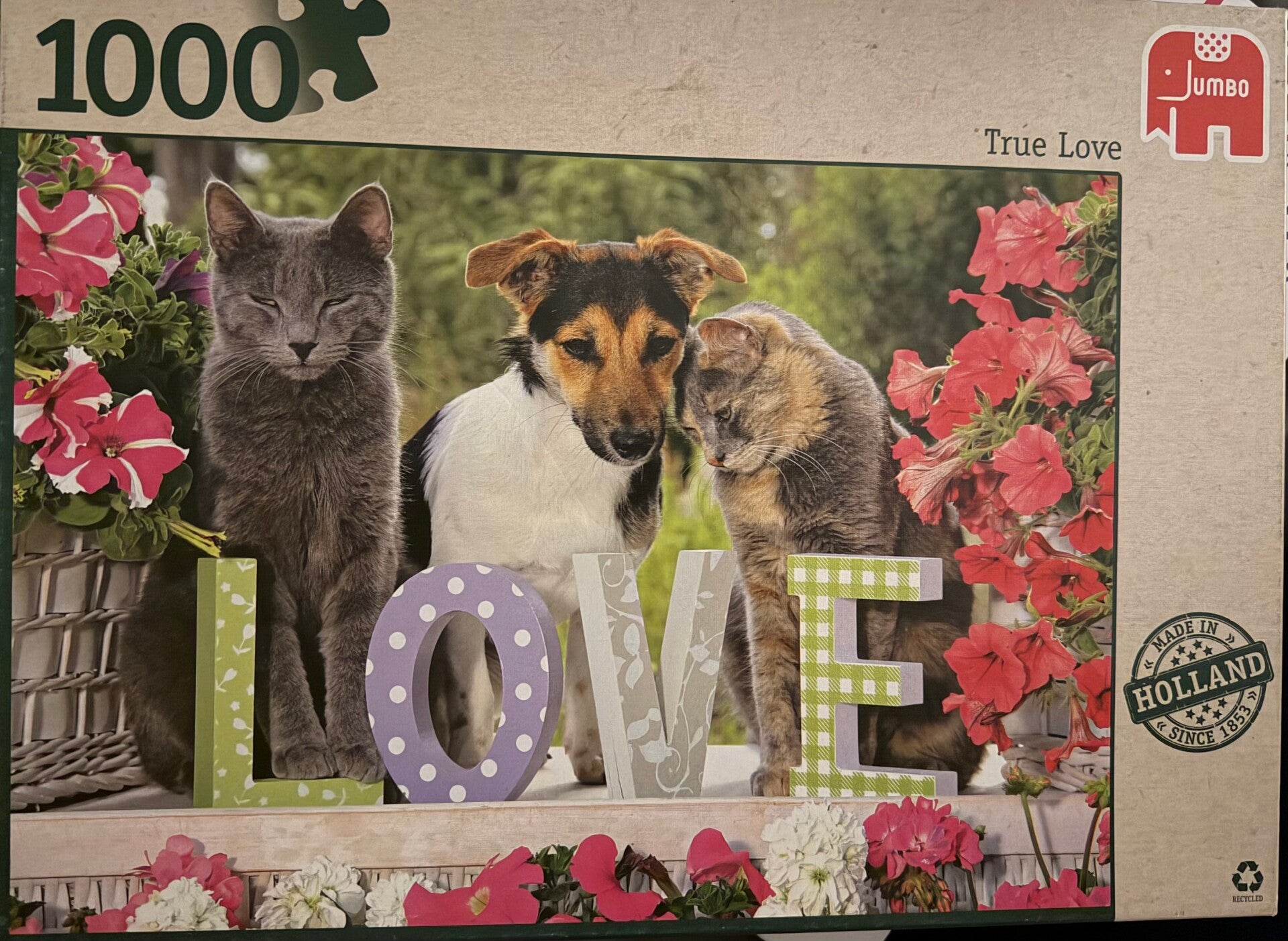 Jumbo True Love - 1000