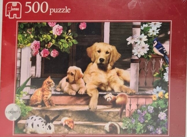 Jumbo Ontmoeting op de veranda - 500