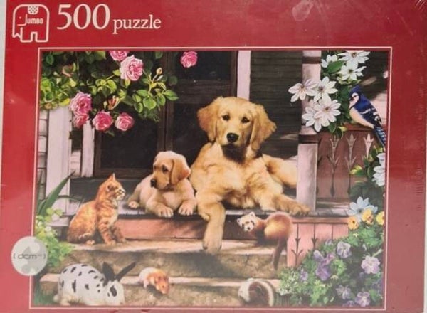 Jumbo Ontmoeting op de veranda - 500