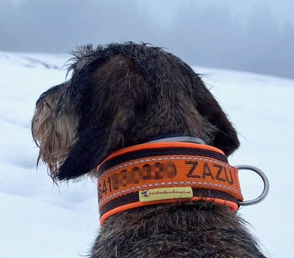 Jagdliche Allroundhalsung ab