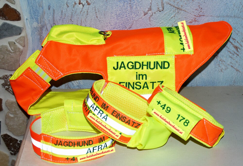 Stöberjacke/Stöberhalsbänder