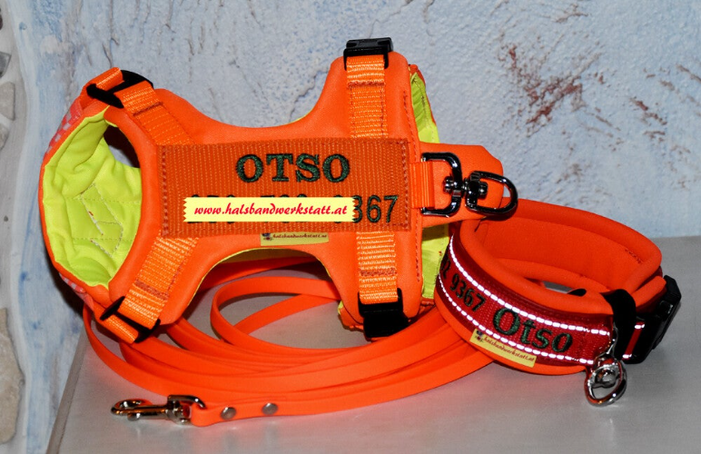 Schweißgeschirr/Schweißhalsband