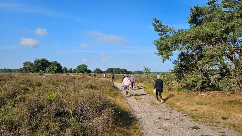 stilte wandeling