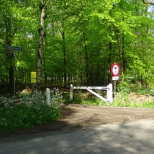 DSC01289.jpg