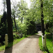DSC01303.jpg