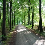 2002-01-01000000-1-1.jpg