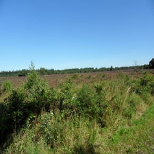 SDC19776.jpg