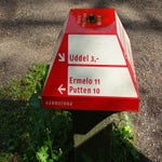DSC01291-1.jpg