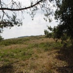 2005-07-06015532-1.jpg