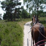 2005-07-06015252-1.jpg