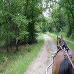 2005-07-06022522-1.jpg