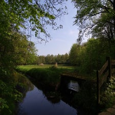 DSC01283.jpg