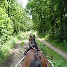 2005-07-06022653.jpg