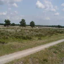 2005-07-06014539.jpg