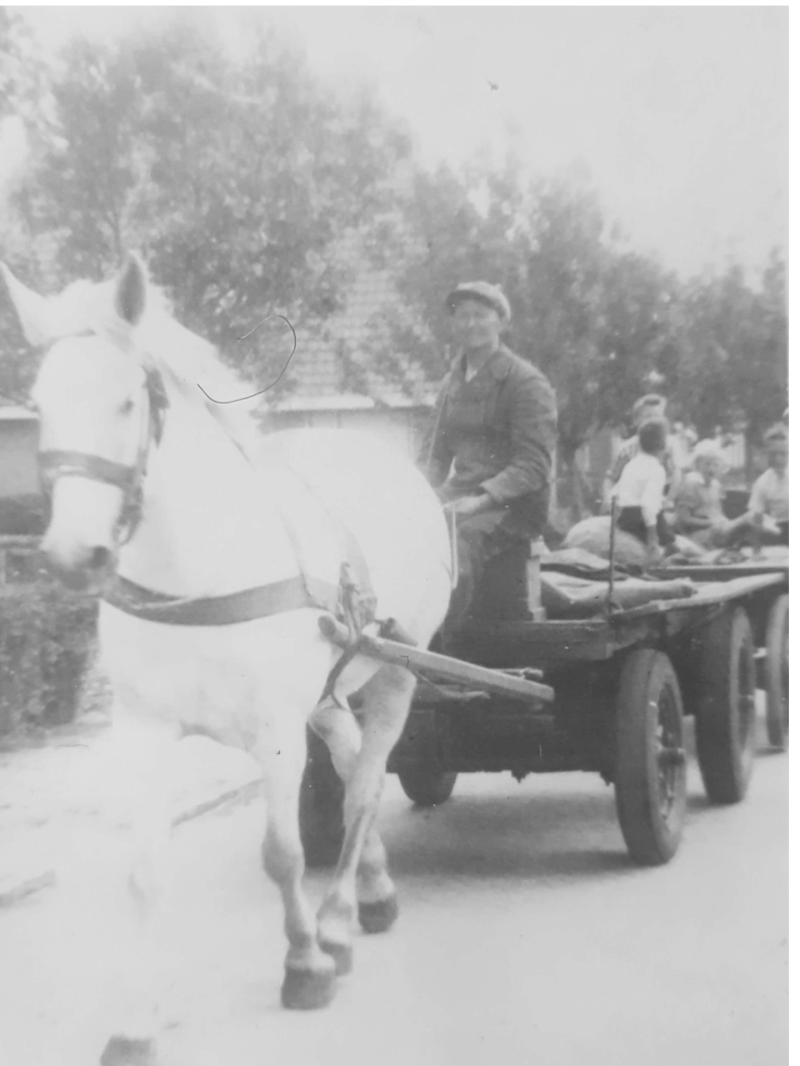 Pake met de paardenkar van de CAV (jaartal onbekend))