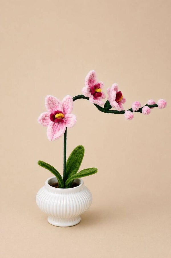 Orchidee petite roze