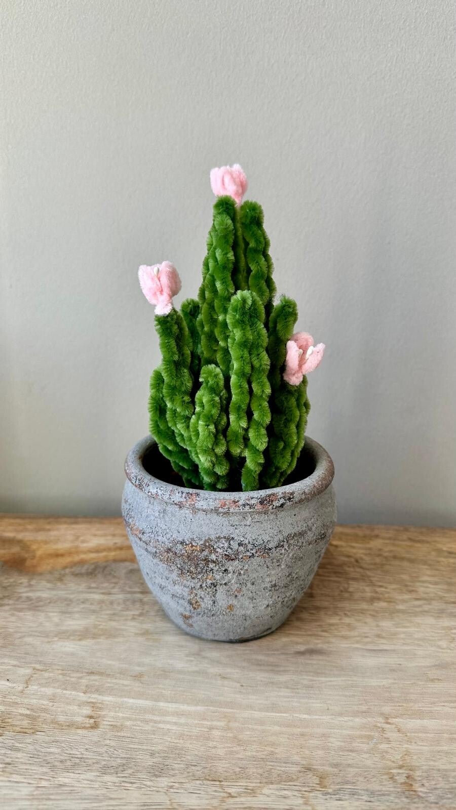 Cactus Pink Flower