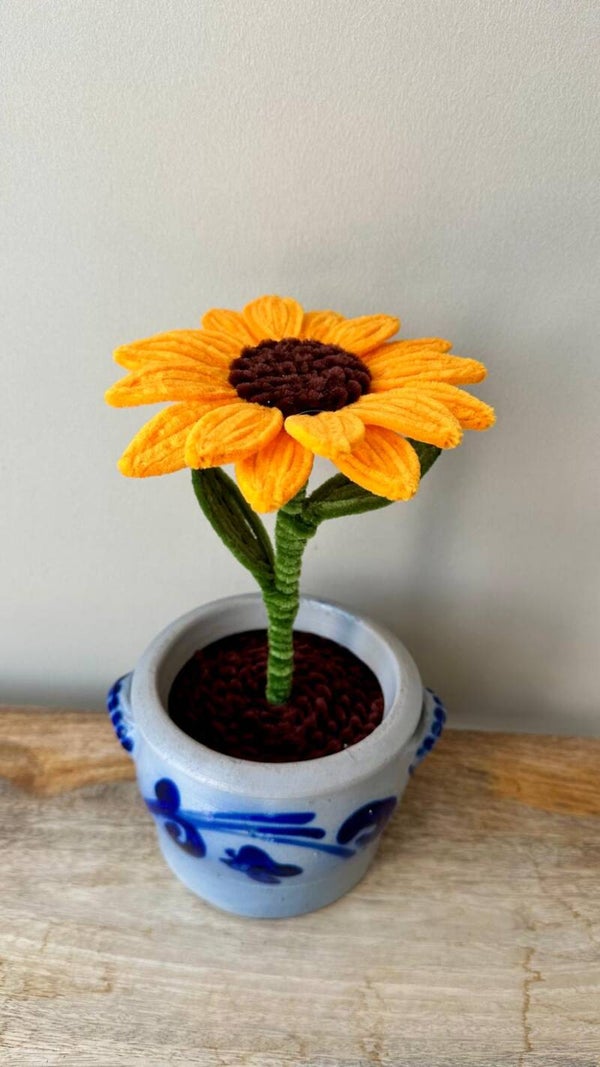 Sunflower Grande