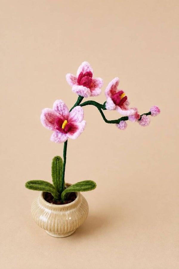 Orchidee petite lila
