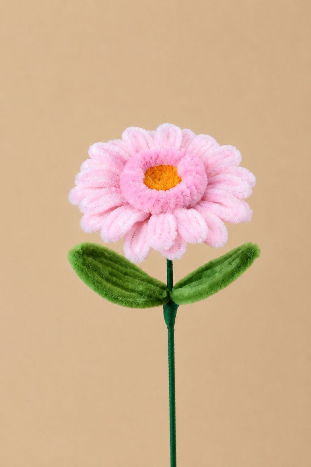 Gerbera Amélia - diverse kleuren