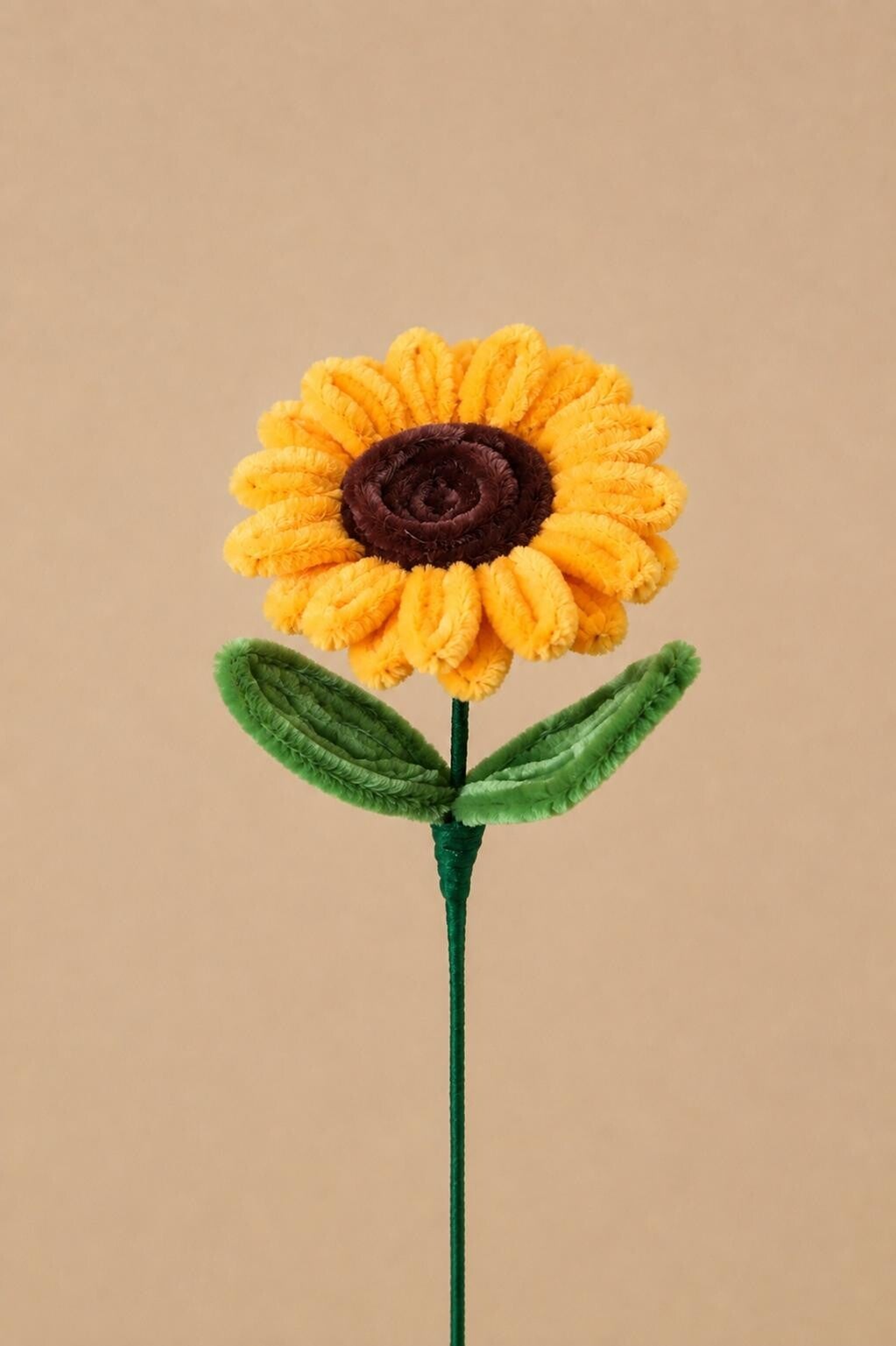 Zonnebloem Serenna