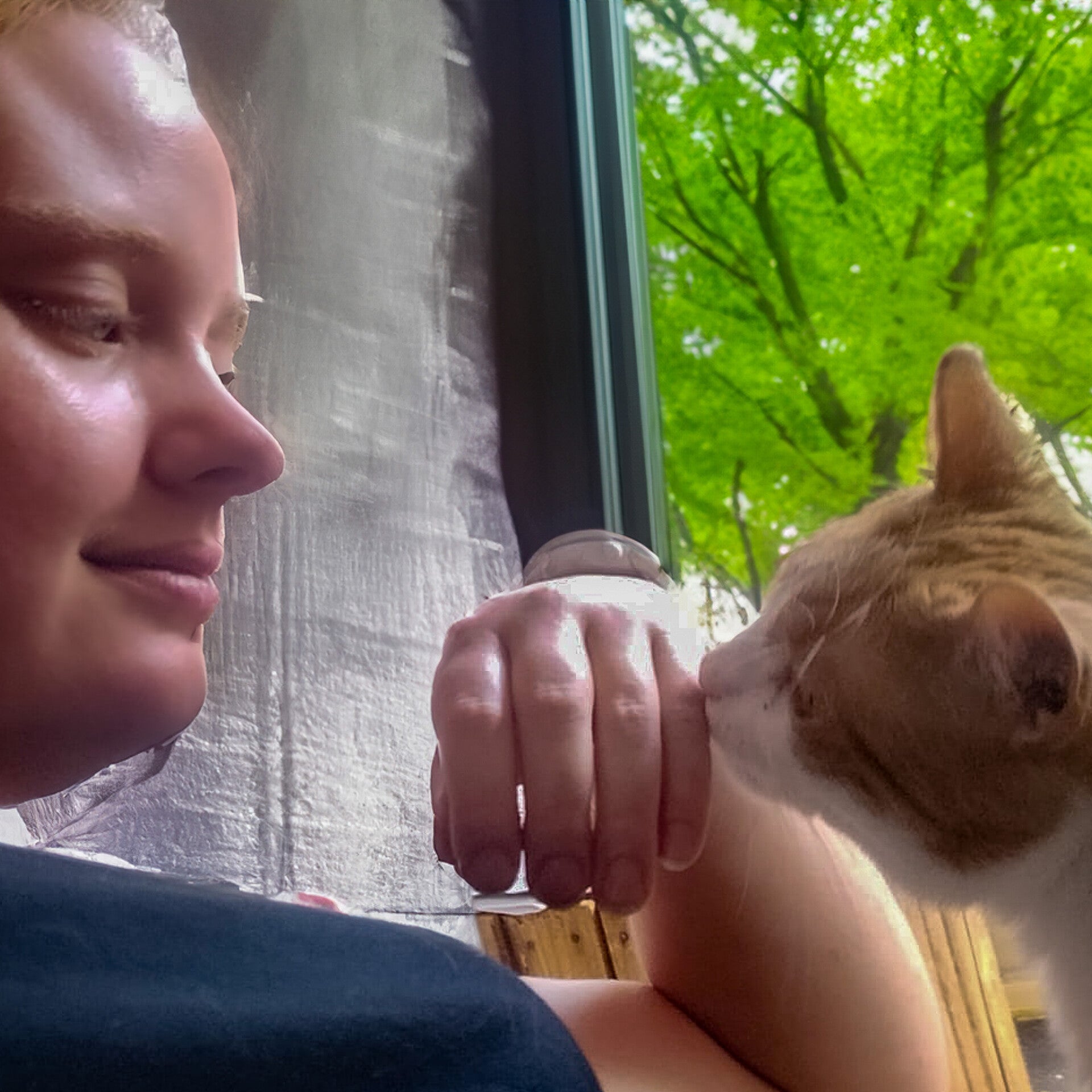 Witte poes, kat ligt met ogen dicht hand aait onderkant kop Kattenoppas Joëlle Veenendaal