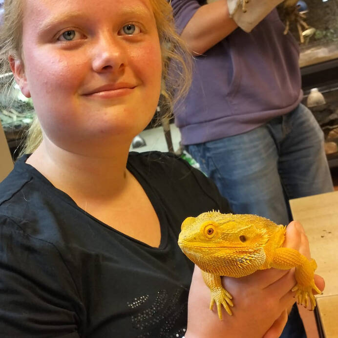 Joëlle met kameleon  reptielenoppas  konijnenoppas paardenoppas Hondenuitlaatservice Huisdierenoppas  dierenservice Joëlle Veenendaal, Rhenen, Achterberg, Overberg, Elst, Ederveen, Renswoude, Ede, Bennekom